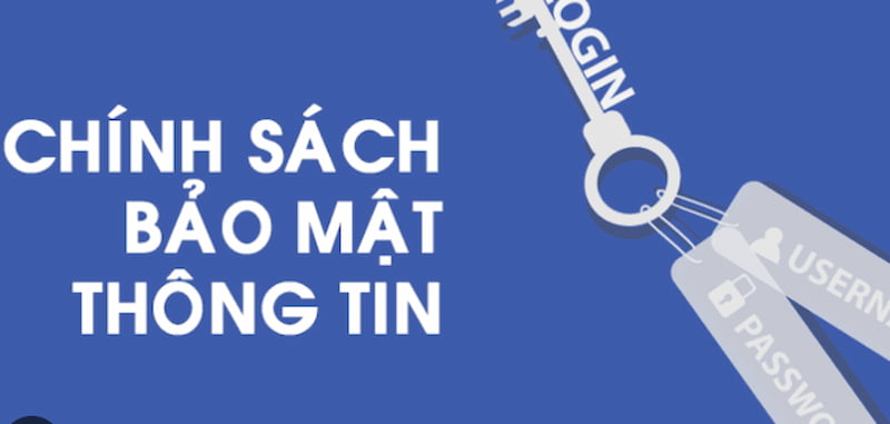 Quyền và nghĩa vụ của người chơi