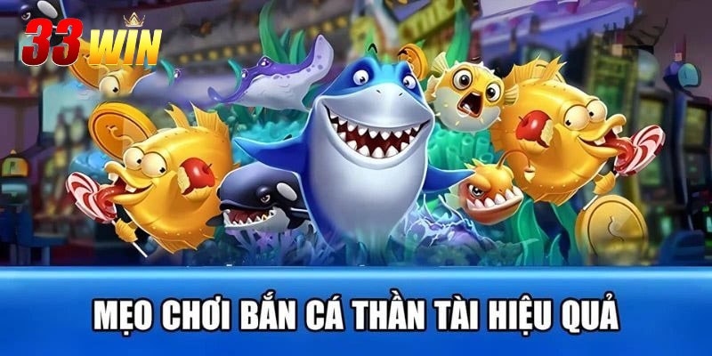 Một số các kinh nghiệm cao thủ mách bạn