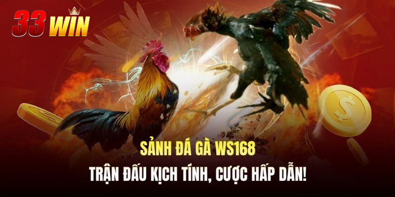 Ưu điểm nổi bật của sảnh WS168 Đá Gà