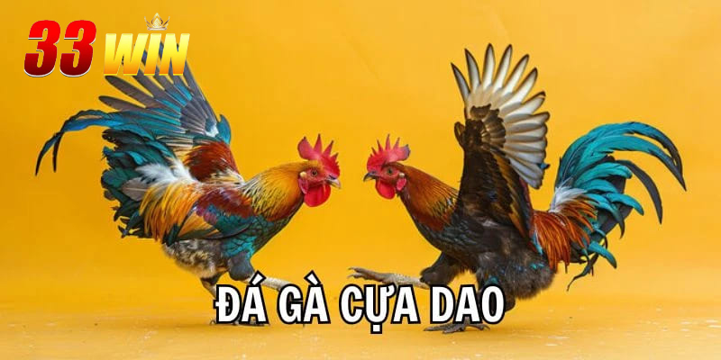 Thông tin về sảnh đá gà cựa dao